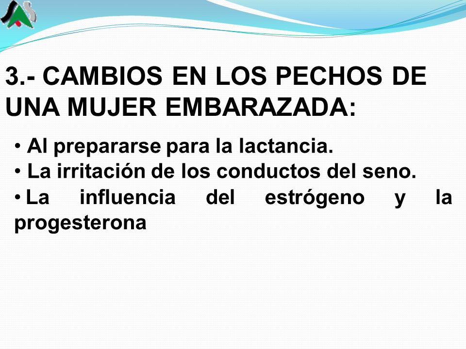 Cuando hay unos tirantes sobre un pequeño pecho